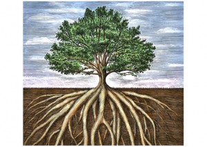 La Fitrah se asemeja a las raízes de un árbol, que le asientan en la tierra y lo hacen firme