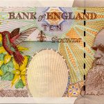 Billete de 10 libras que represente el rostro barbudo de Darwin