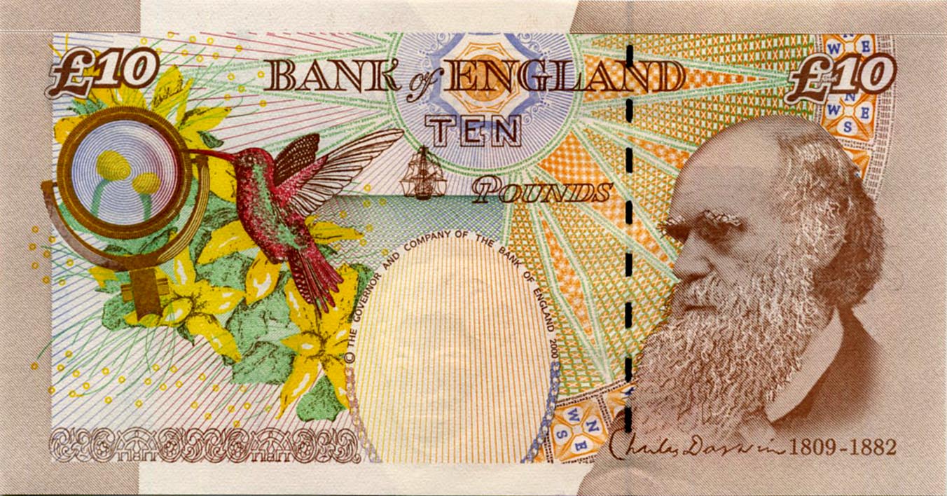 Billete de 10 libras que represente el rostro barbudo de Darwin
