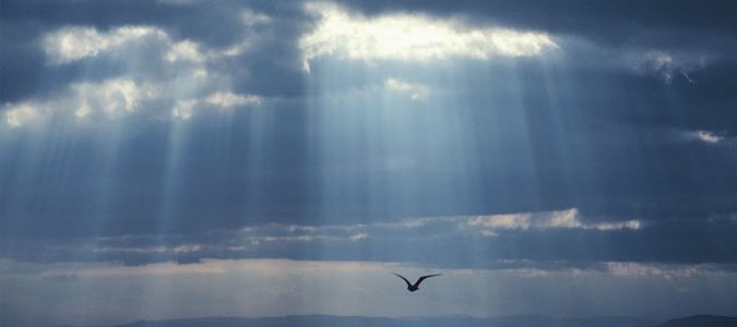 La realidad comienza con la existencia