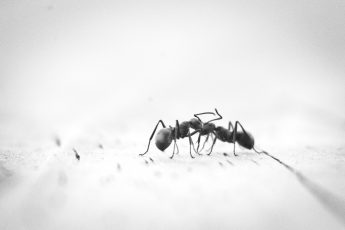 El problema del mal y la existencia de Dios: Significado en la vida (4/5)