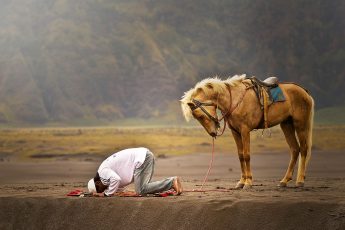 Solo Dios es digno de adoración -‘Ibāda-
