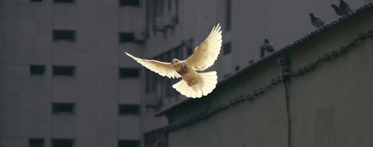 Qué es el alma en el Islam